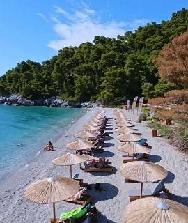 Ftelia Beach Bar in Skopelos Greece